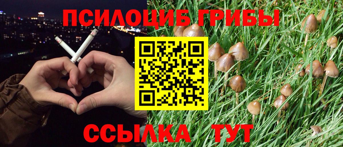где можно купить   Вход с VPN  Обь  Галлюциногенные грибы Magic Shrooms 